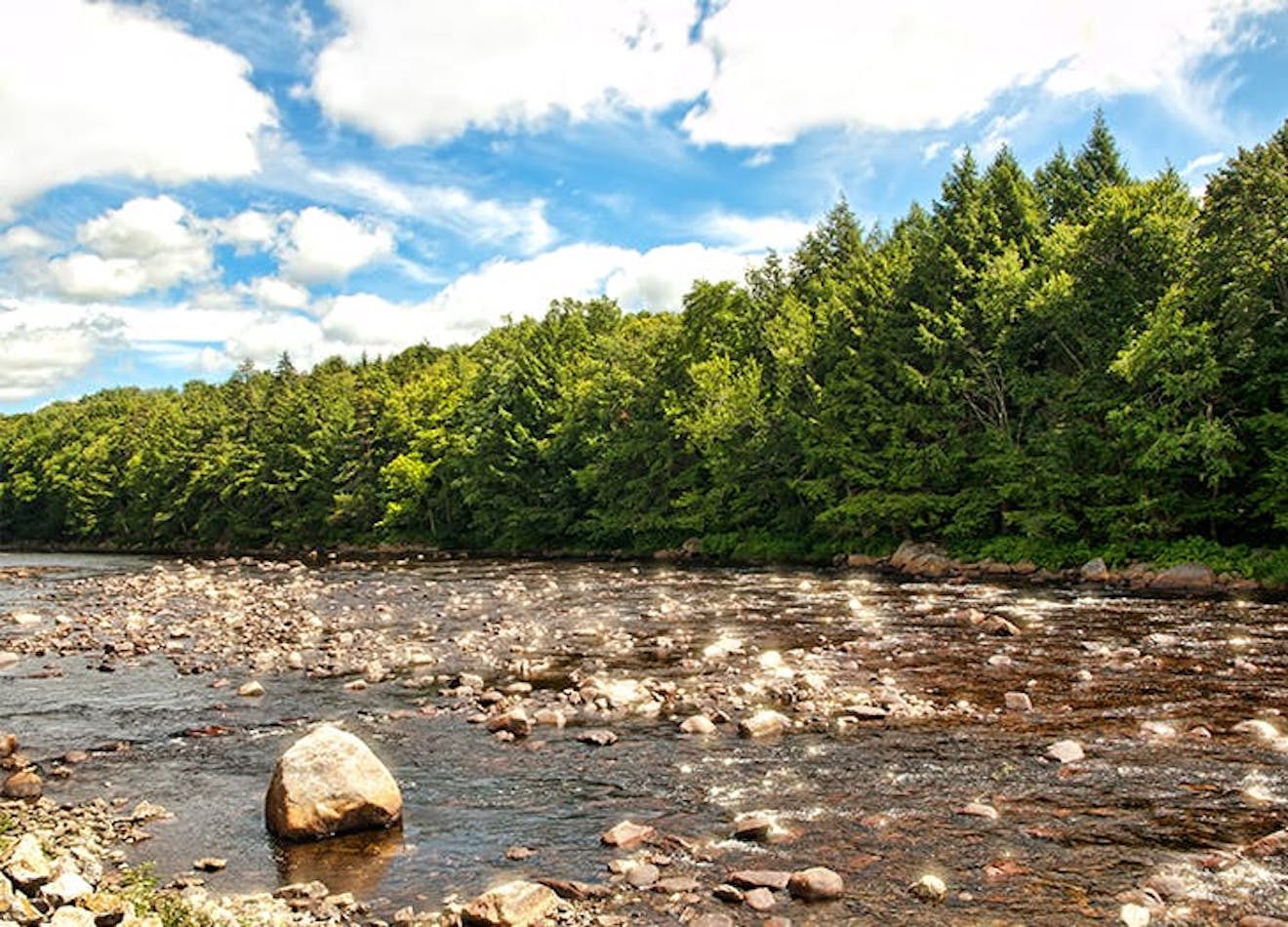 10 of the Best Camping Spots in New York State